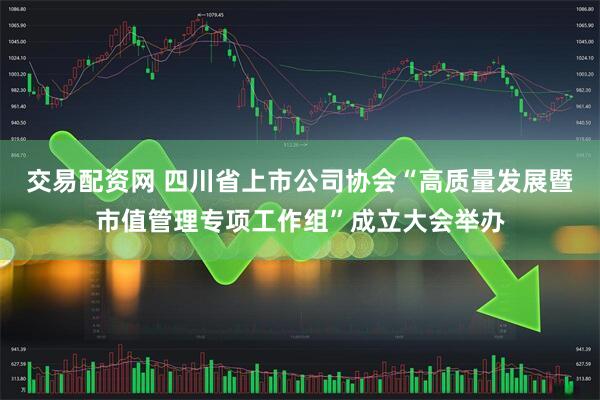 交易配资网 四川省上市公司协会“高质量发展暨市值管理专项工作组”成立大会举办