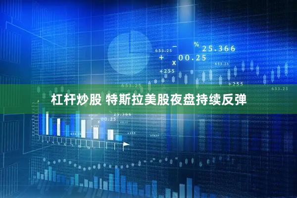 杠杆炒股 特斯拉美股夜盘持续反弹