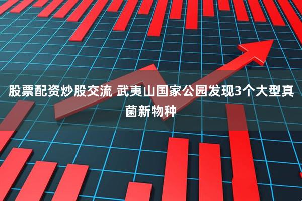 股票配资炒股交流 武夷山国家公园发现3个大型真菌新物种