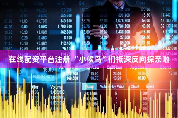 在线配资平台注册 “小候鸟”们抵深反向探亲啦