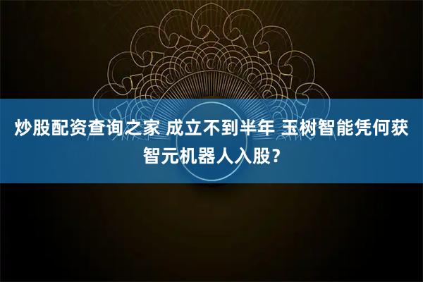 炒股配资查询之家 成立不到半年 玉树智能凭何获智元机器人入股？